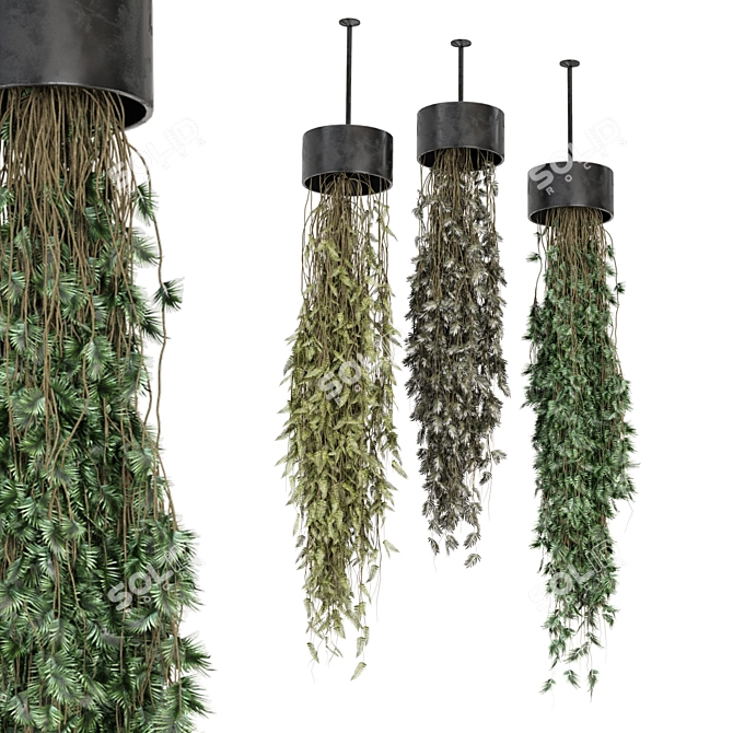 Metal Box Hanging Plant Set 3D model image 1