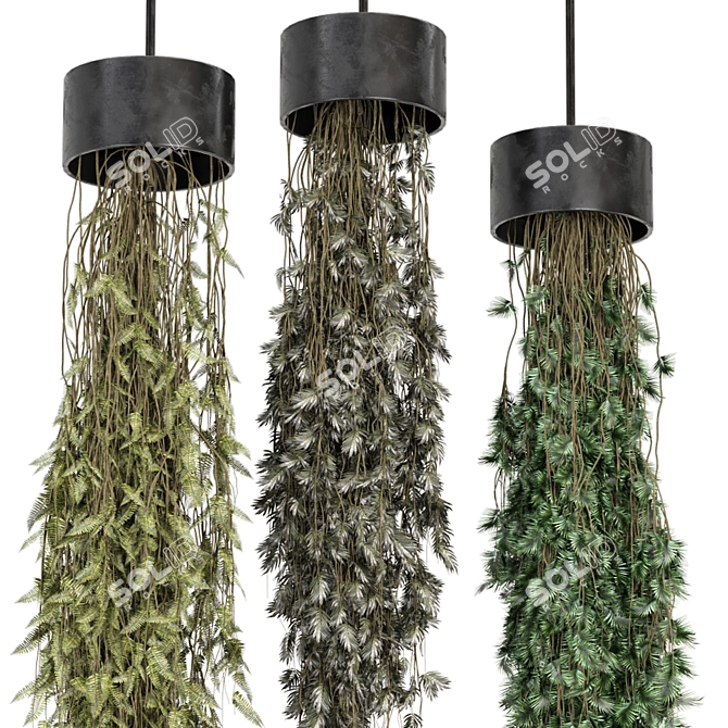 Metal Box Hanging Plant Set 3D model image 2