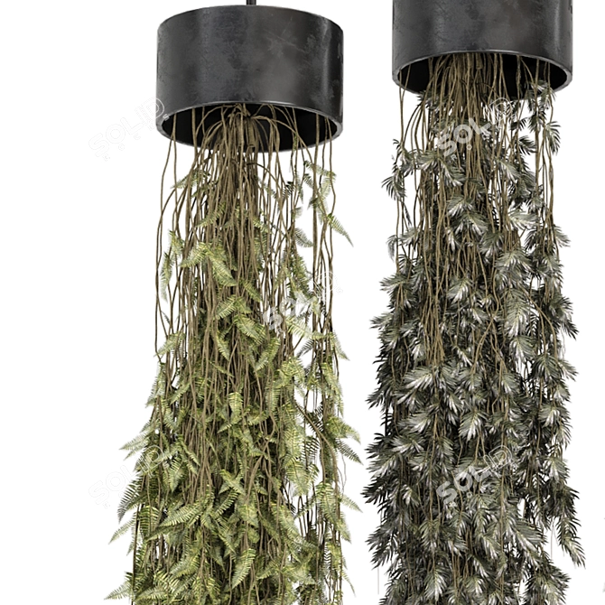 Metal Box Hanging Plant Set 3D model image 3