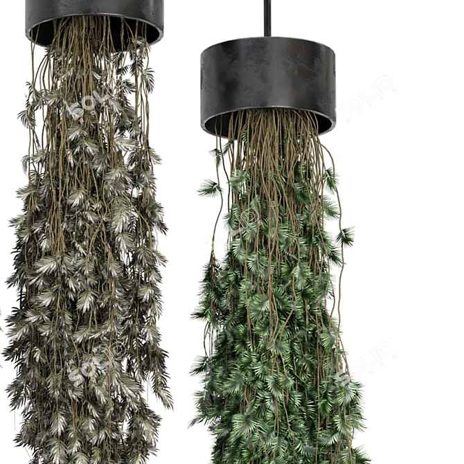 Metal Box Hanging Plant Set 3D model image 4