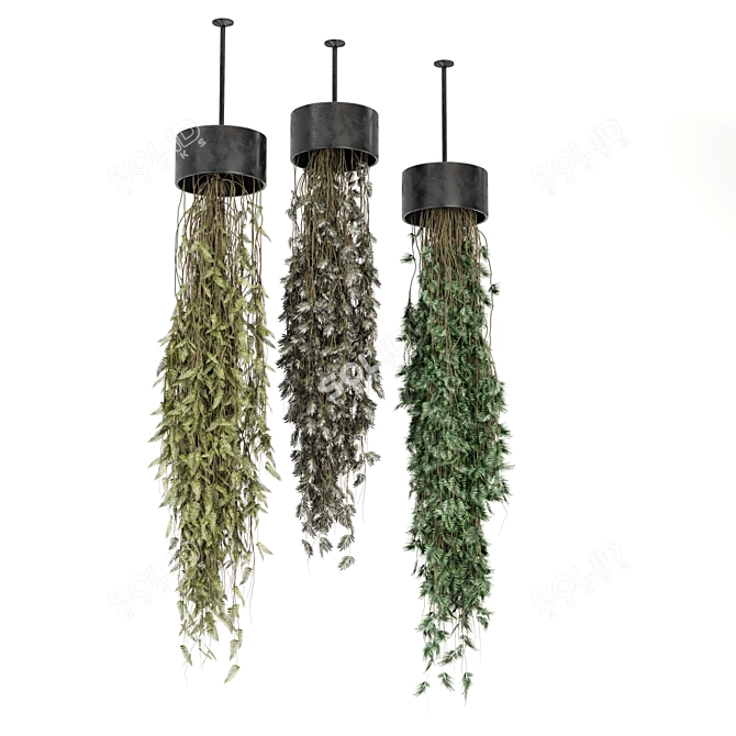 Metal Box Hanging Plant Set 3D model image 5