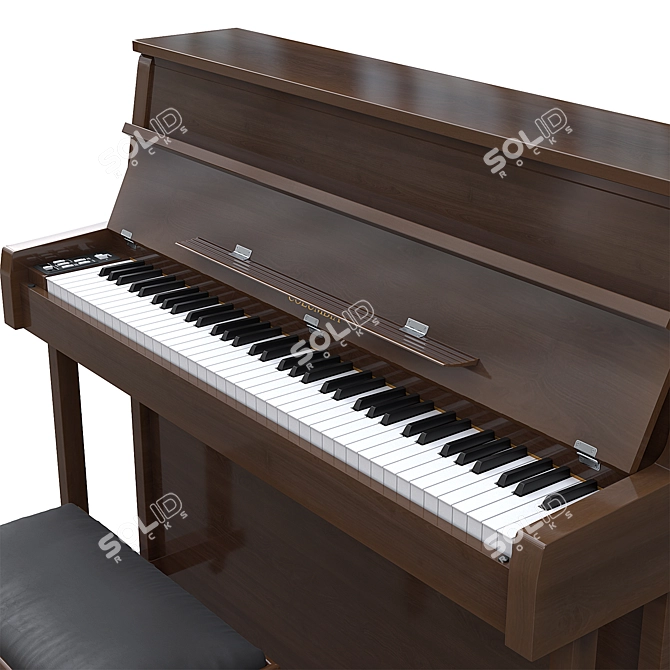 Elegant Columbia 2015 Piano Model 3D model image 5