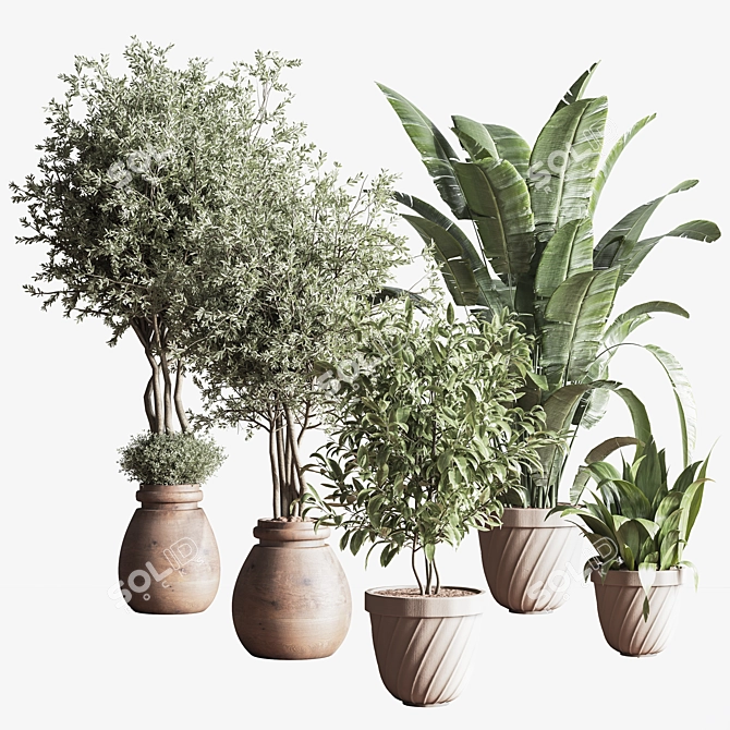 Minimalistic Indoor Plant Set 3D model image 1