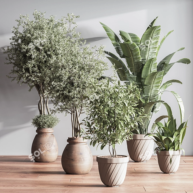 Minimalistic Indoor Plant Set 3D model image 2