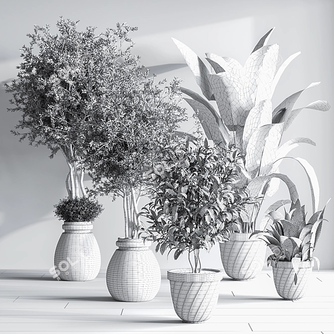 Minimalistic Indoor Plant Set 3D model image 7