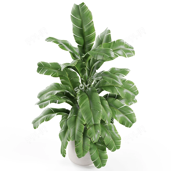 Botanical Bundle 955 3D model image 2