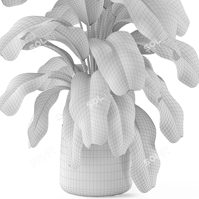 Botanical Bundle 955 3D model image 4