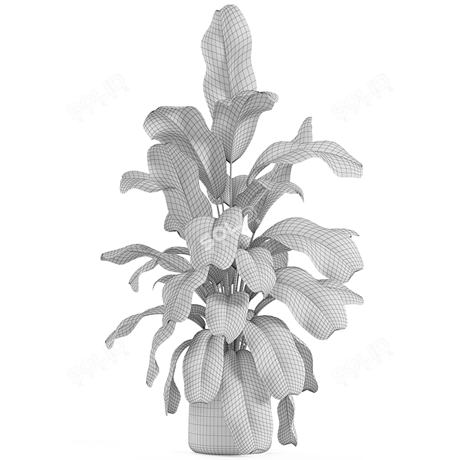 Botanical Bundle 955 3D model image 5