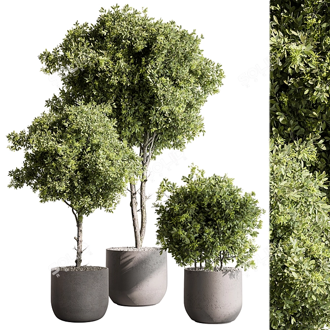 Potted Tree: Indoor Plant 549 3D model image 1