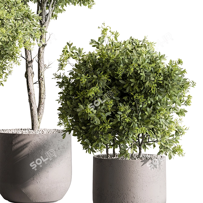 Potted Tree: Indoor Plant 549 3D model image 4