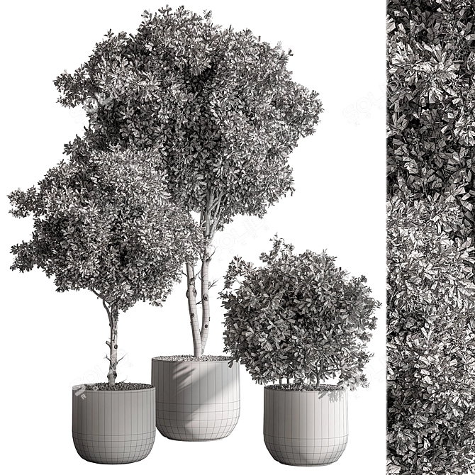 Potted Tree: Indoor Plant 549 3D model image 5