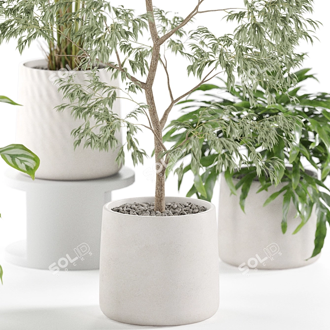 Eco Plant Collection: 607732 Polys 3D model image 4