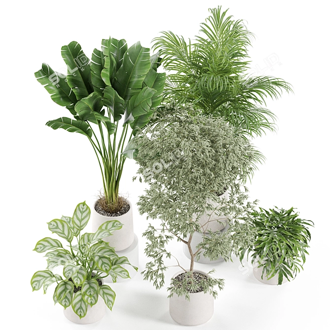 Eco Plant Collection: 607732 Polys 3D model image 5