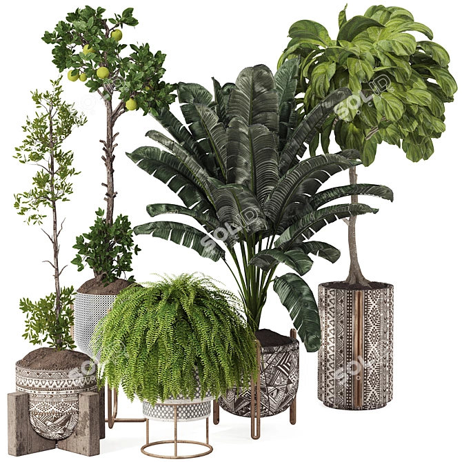 Boho Plant Collection Set 175 3D model image 1