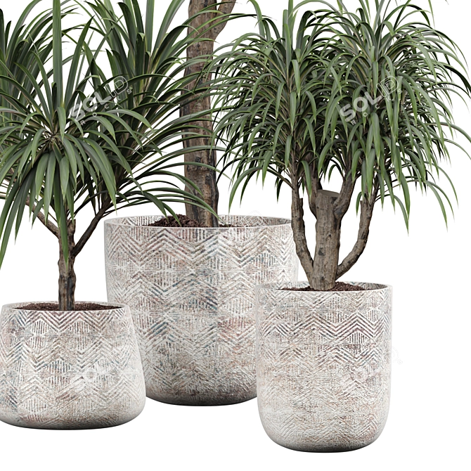 Tropical Palm Plant for Interior 3D model image 2