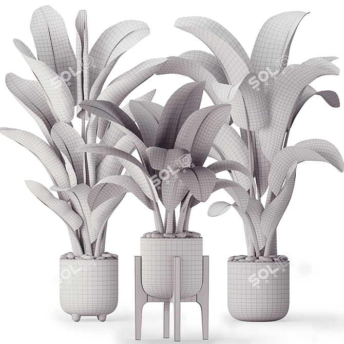 Mexican Design Banana Palm Set 3D model image 14