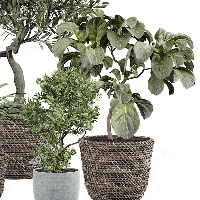 Elegant Interior Foliage Collection 3D model image 2