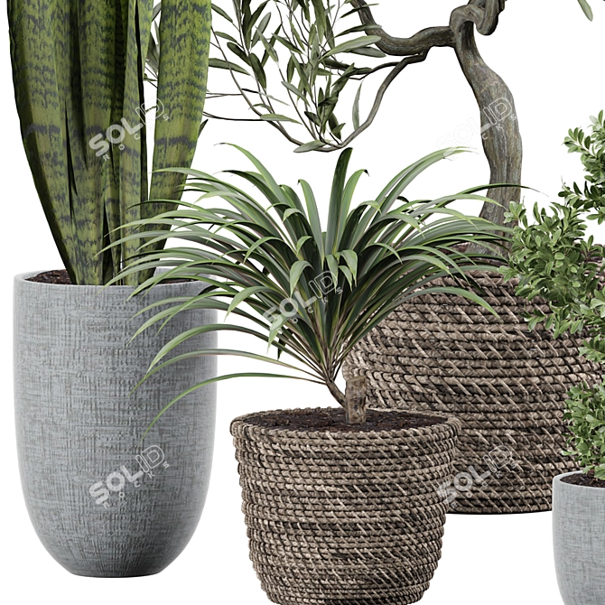 Elegant Interior Foliage Collection 3D model image 3