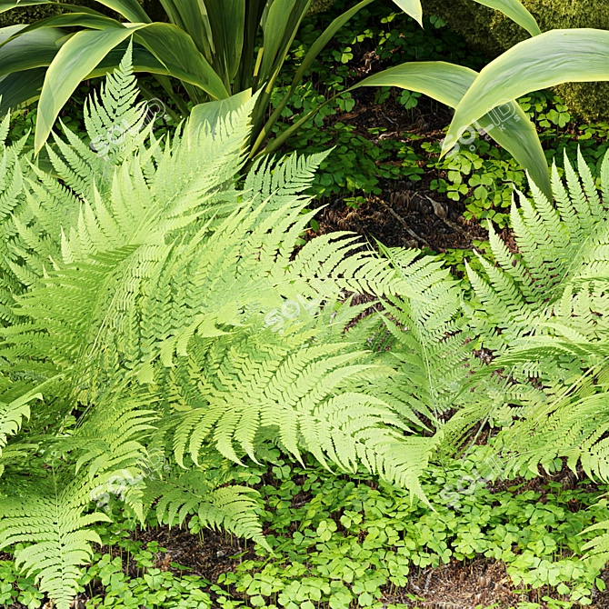 High Quality Low Poly Garden Assets 3D model image 3