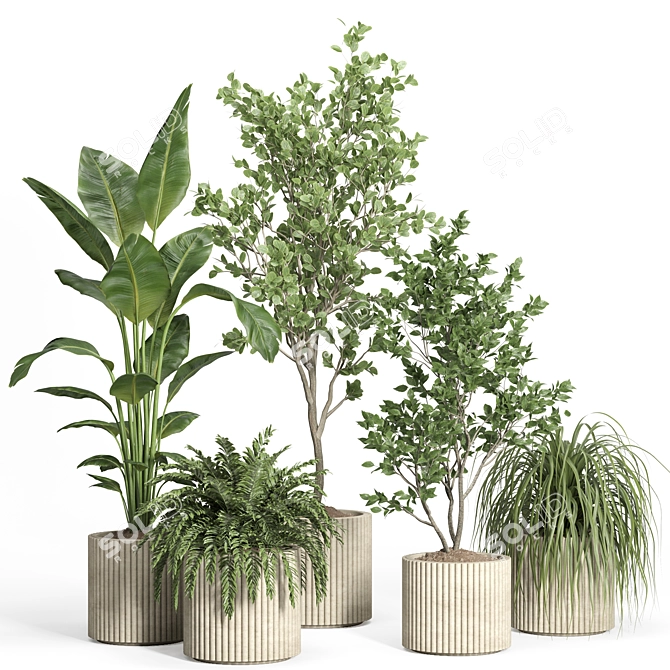 54-Piece Concrete Pot Indoor Plant Set 3D model image 1