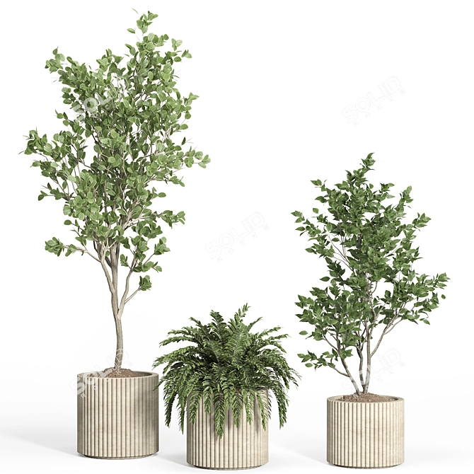 54-Piece Concrete Pot Indoor Plant Set 3D model image 2