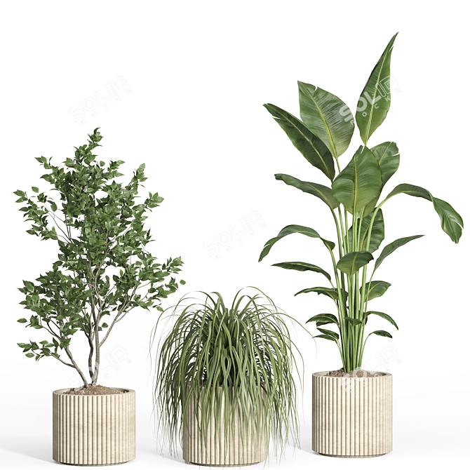 54-Piece Concrete Pot Indoor Plant Set 3D model image 3