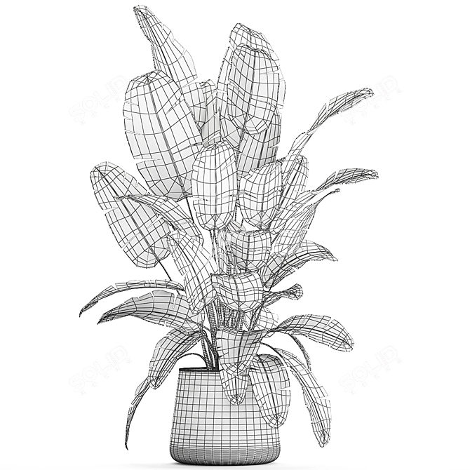 Exotic Corner Palms Collection 3D model image 7