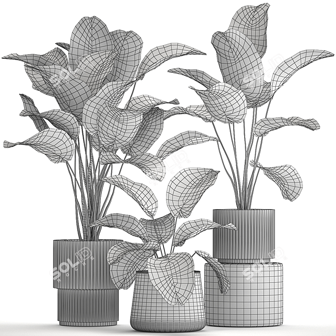 Exotic Tropical Plant Collection 3D model image 6