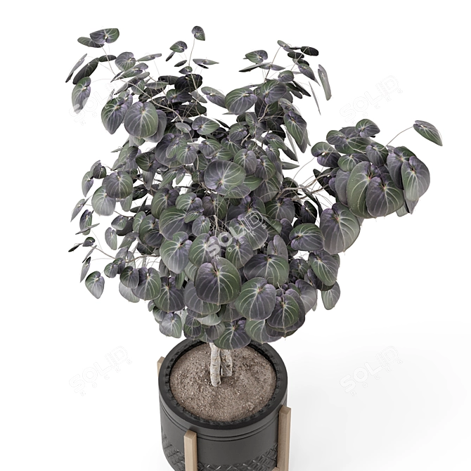 Modern Concrete Pot Set 1562 3D model image 2