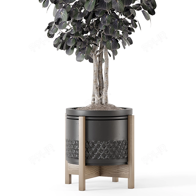 Modern Concrete Pot Set 1562 3D model image 4