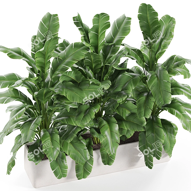  Diverse Greenery Collection 960 3D model image 8