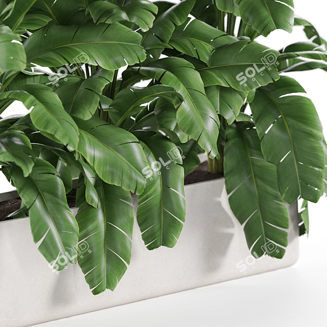  Diverse Greenery Collection 960 3D model image 9