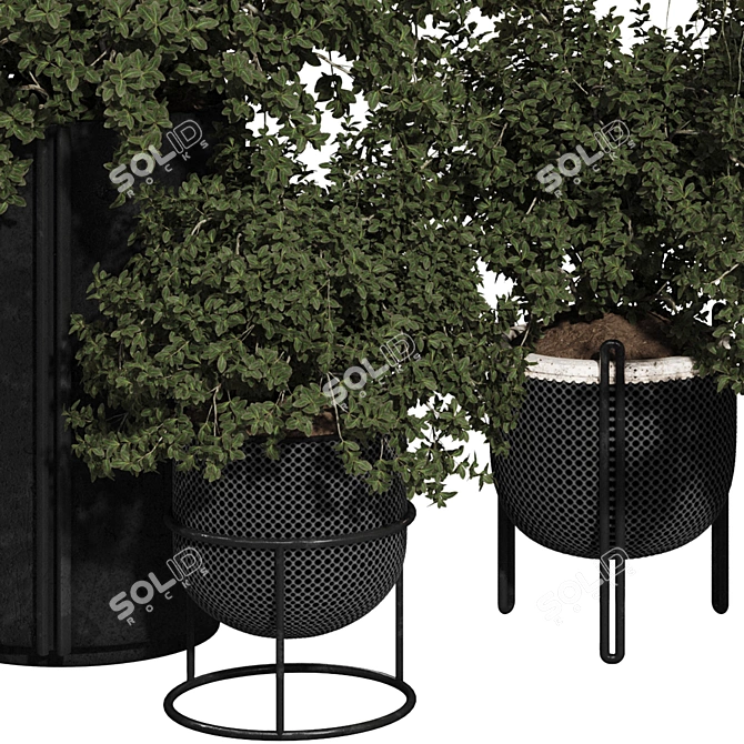 Title: Rusty Pot Olive Bonsai 3D model image 5