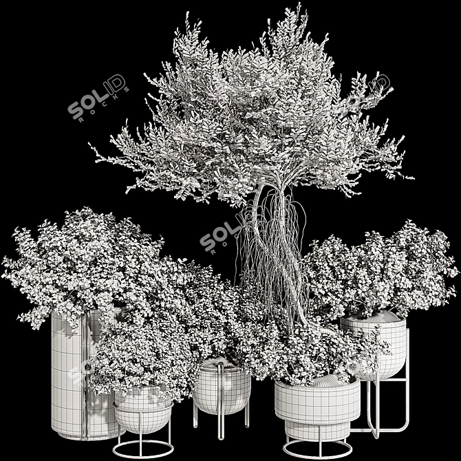 Title: Rusty Pot Olive Bonsai 3D model image 7