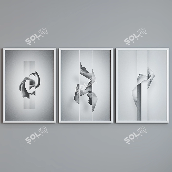 Modern Abstract Picture Frame Set 3D model image 3