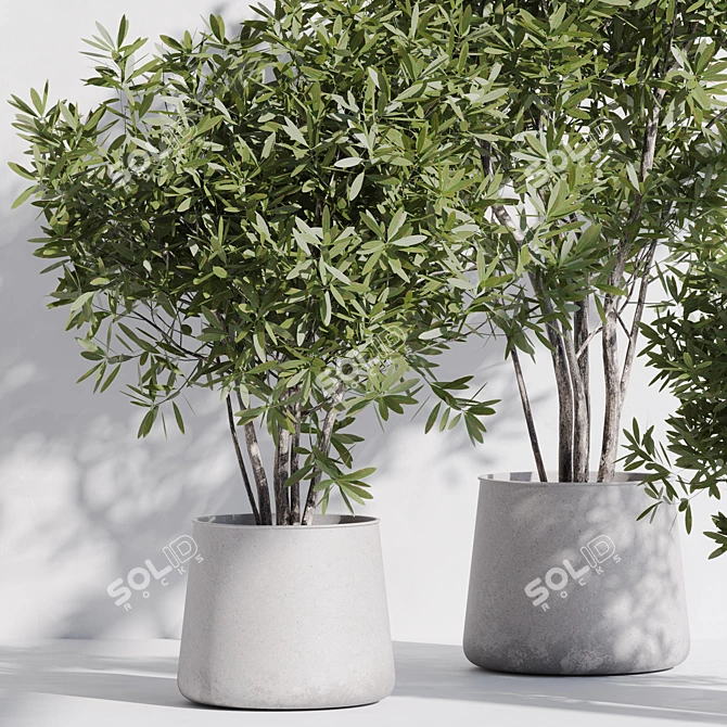 Modern Indoor Plant Set Kit 3D model image 2