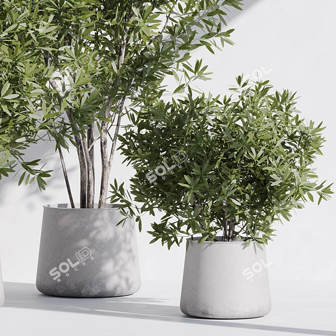 Modern Indoor Plant Set Kit 3D model image 4