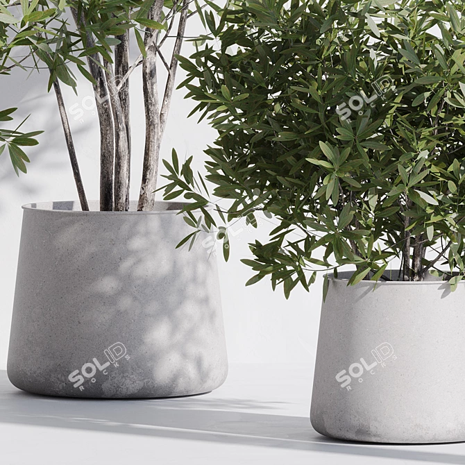 Modern Indoor Plant Set Kit 3D model image 5