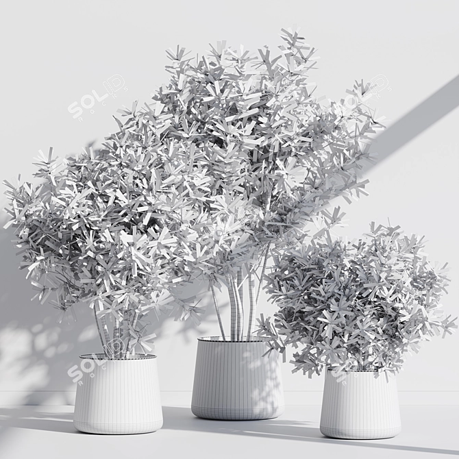 Modern Indoor Plant Set Kit 3D model image 7