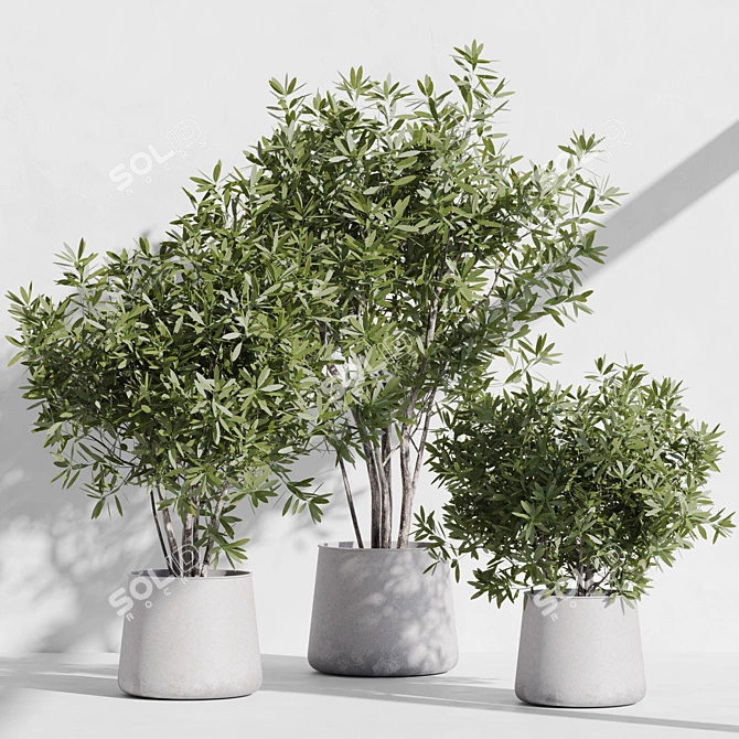 Modern Indoor Plant Set Kit 3D model image 8