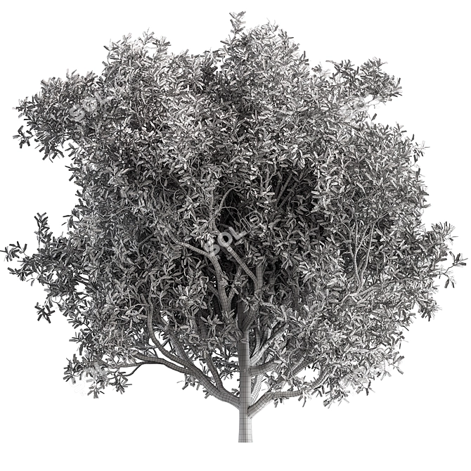 California Bay Bush Set 120 3D model image 1