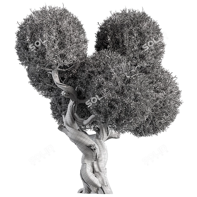 Cryptomeria Topiary Tree Set 200 3D model image 5