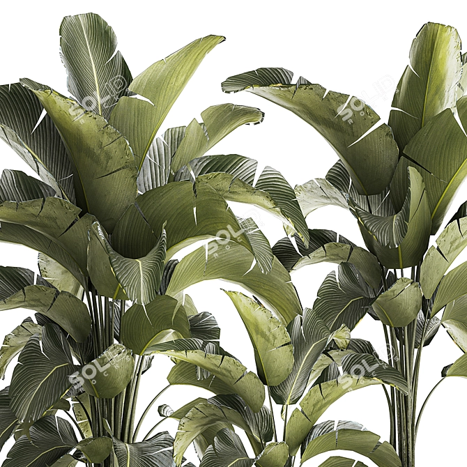 Tropical Plant Collection in Concrete Vase 3D model image 2