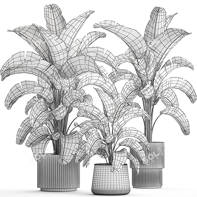 Tropical Plant Collection in Concrete Vase 3D model image 7