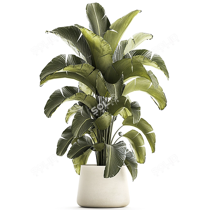 Tropical Plant Collection in Concrete Pot 3D model image 6