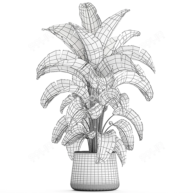 Tropical Plant Collection in Concrete Pot 3D model image 7