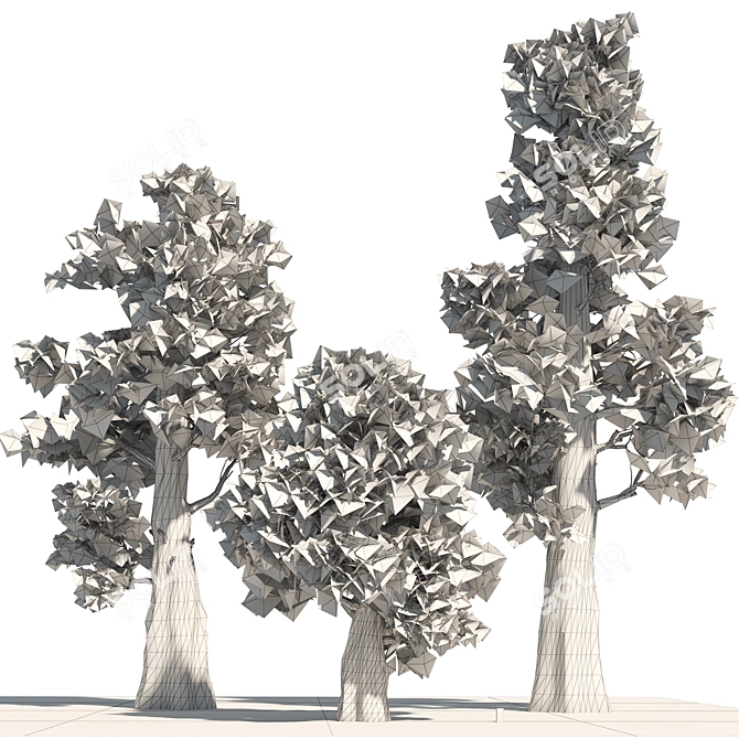 Giant Redwood Tree Collection 3D model image 5