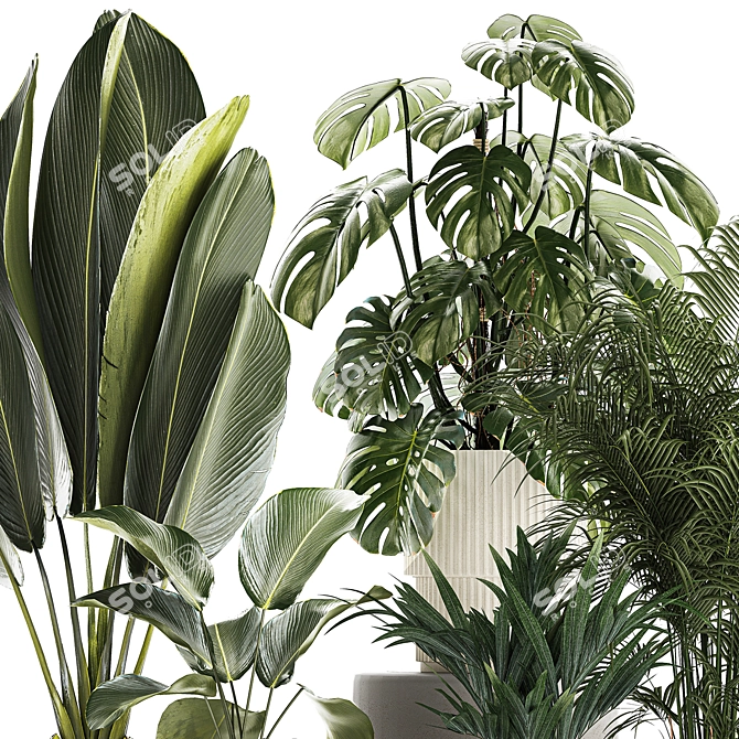 Tropical Plant Set in Concrete Vase and Pot 3D model image 3