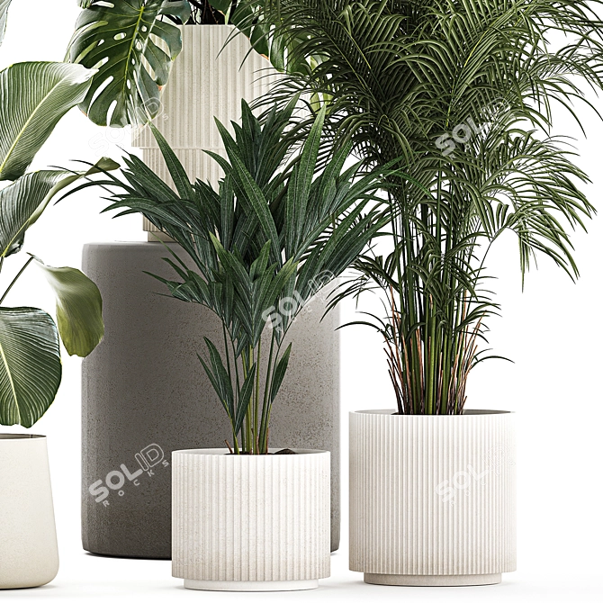 Tropical Plant Set in Concrete Vase and Pot 3D model image 4