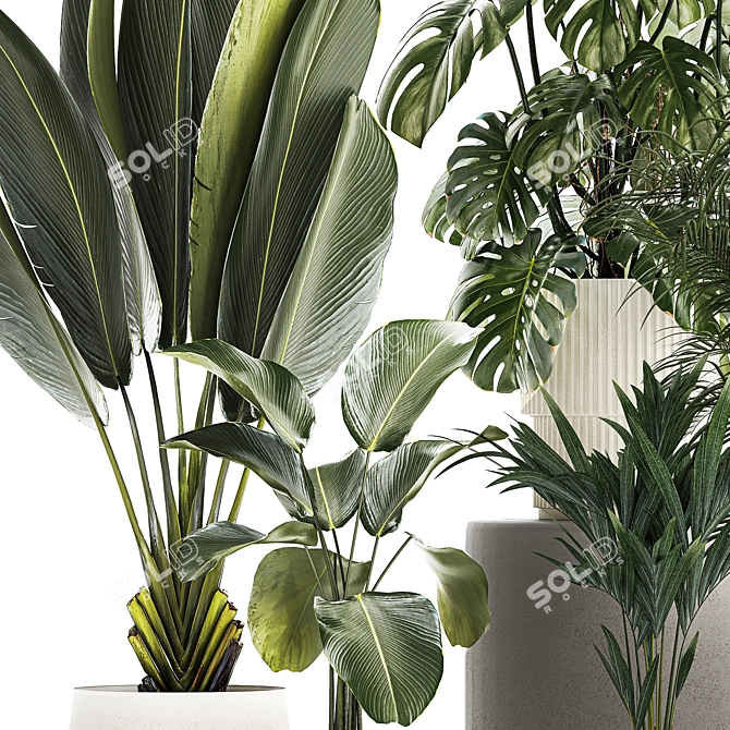 Tropical Plant Set in Concrete Vase and Pot 3D model image 5